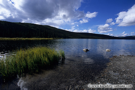 Denali National Park and Preserve / fiEی