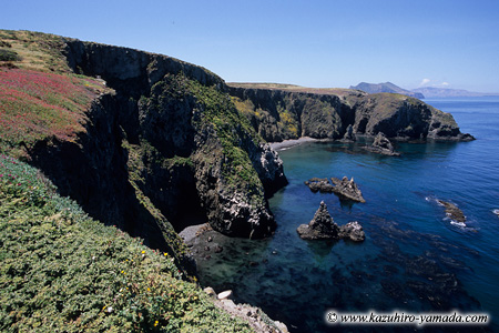 Channel Islands National Park / `lACh