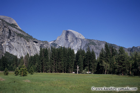 Half Dome and Meadow / n[th[ƃhD