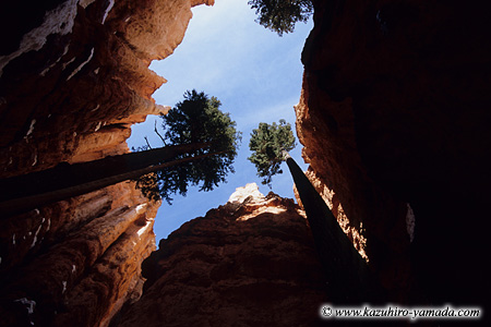 Bryce Canyon National Park / uCXLjI
