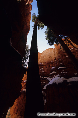 Bryce Canyon National Park / uCXLjI