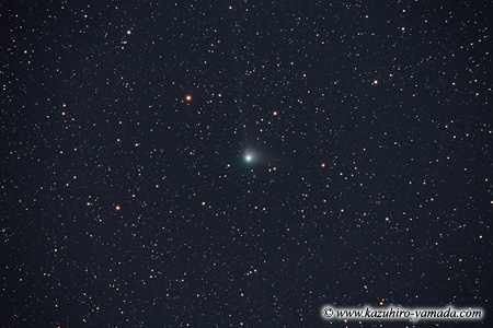 Comet Machholz (2004 Q2) / マックホルツ彗星