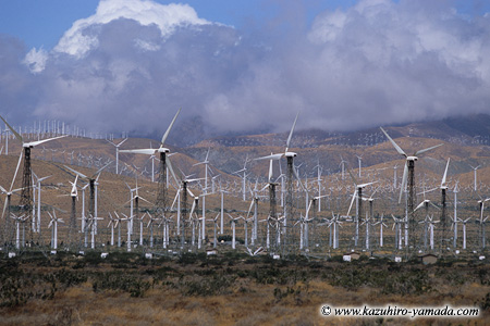 Palm Springs Windmills / p[XvOX͔d