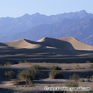 Death Valley National Park / デスバレー国立公園