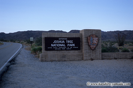 Joshua Tree National Park / WVAc[