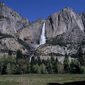 Yosemite National Park / ヨセミテ国立公園